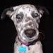 Profile Picture of Samantha Donato (@latte_addicted) on Pinterest