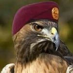 Profile Picture of كزخات المطر (@falcon85.falcon) on Instagram