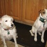 Profile Picture of Edward Knapp (@knapp.edward) on Instagram