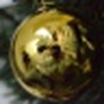 Profile Picture of Carlos Belmares (@carlos belmares) on Flickr