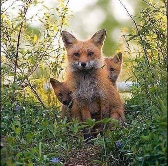 Profile Picture of Nancy Van der zweep (@nancyzweep) on Poshmark