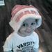 Profile Picture of Mary Engfer (@maryengfer530) on Pinterest