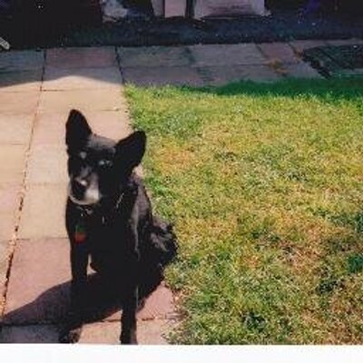 Profile Picture of SANDRA MONK (@scoggs55) on Twitter