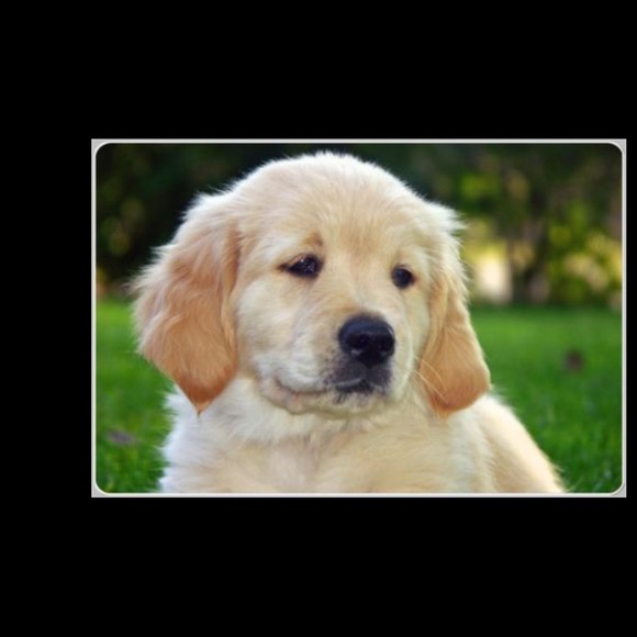 Profile Picture of Bobbijo Devries (@used2bnew) on Poshmark