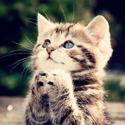 Profile Picture of Eric Newton (@EricNewton2020) on Twitter