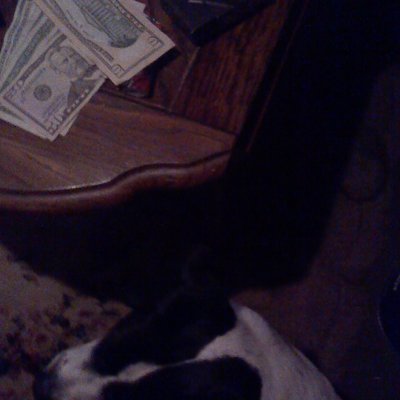 Profile Picture of Jim Stidham (@jimmys606) on Twitter