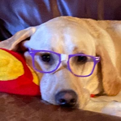 Profile Picture of Brad Frye (@BradFrye10) on Twitter