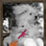 Profile Picture of Claudette DeRossett (@Bella, Tilly, Molly, Ally & Beebe 