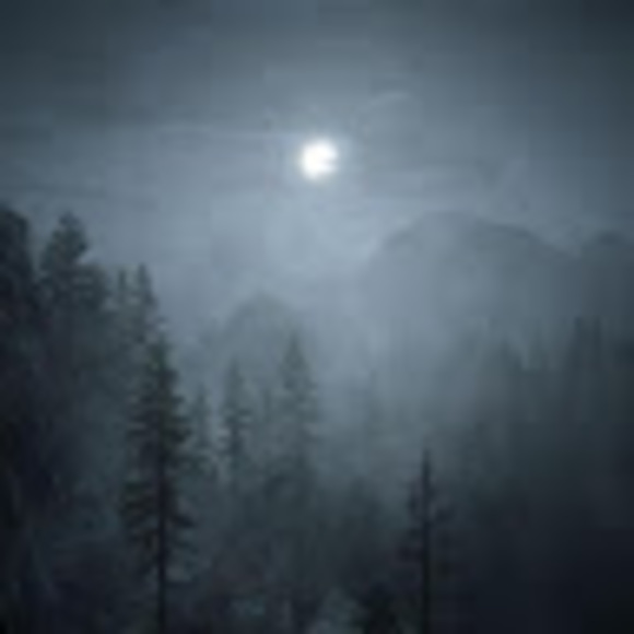 Profile Picture of Erin Konzem (@wildsnitch88) on Poshmark