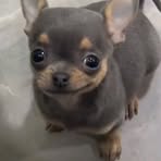 Profile Picture of Jay Eric Akers Grove (@Jay-Eric-Akers-Grove) on Facebook