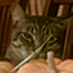 Profile Picture of Vincent Taylor (@vincent_sacto) on Flickr