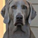 Profile Picture of Matt Madura (@maduramatt) on Instagram