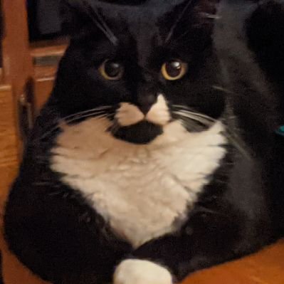 Profile Picture of Nathan Achtymichuk (@NAchtymichuk) on Twitter