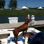 Profile Picture of Jared Feldman (@jaredfeldman) on Instagram