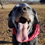 Profile Picture of Steven Letourneau (@steveo3221) on Instagram