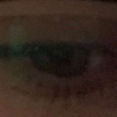 Profile Picture of Daniel Bott (@DanielBott16) on Twitter