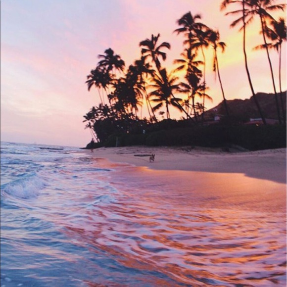 Profile Picture of Allison Matache (@mataaly32) on Poshmark