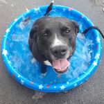 Nicklas - Instagram Profile Picture of Nicklas (@brendancarter387) on Instagram