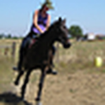 Josee Schuringa - Flickr Profile Picture of Josee Schuringa (@josee schuringa) on Flickr