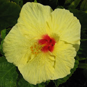 Lindsey Worthen - Youtube Profile Picture of Lindsey Worthen (@lindseyworthen3856) on Youtube