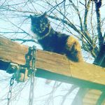 Profile Picture of Heather Sonsteng (@heather_sonsteng) on Instagram