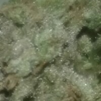 Profile Picture of Paula Cash (@paula-cash) on Quora