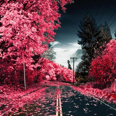 Profile Picture of GLSAIL (@Gary_Singleton) on Twitter