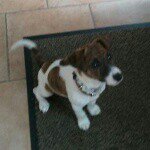 Profile Picture of Sonja van Amerongen (@sonja.vanamerongen) on Instagram