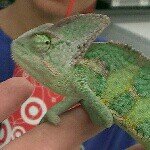 Profile Picture of Vincent Lizama (@vincentvandab) on Instagram