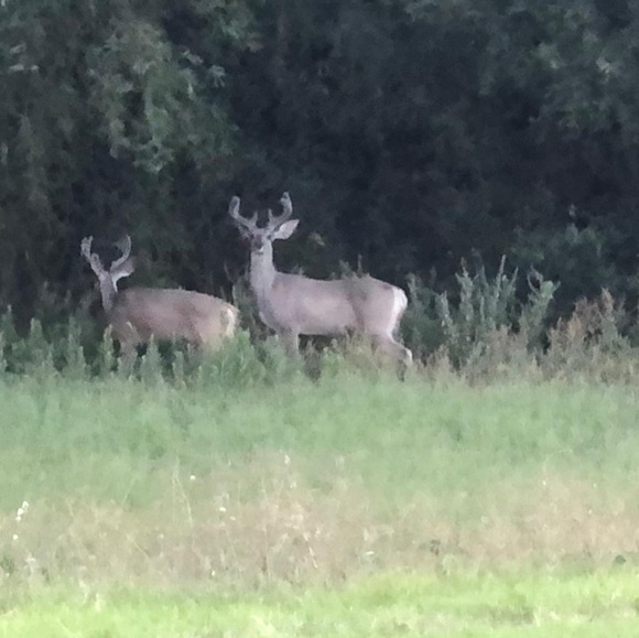 Jim Blake - Poshmark Profile Picture of Jim Blake (@alezlopez) on Poshmark