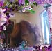 Profile Picture of Ginger Ralph (@ginger.ralph.7) on Facebook