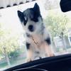 Profile Picture of Derek Sandoval (@@d3rek7) on Tiktok