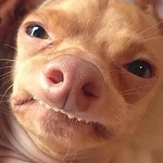 Profile Picture of Aaron Martinez (@nightmar3aaron) on Flickr