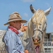 Profile Picture of Gavin Todd (@gavintodd2201) on Youtube