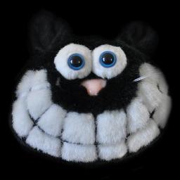 Profile Picture of David Sproule (@acatcalleddave1) on Twitter