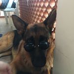 Profile Picture of ARON o Tedesch (@a_maron_) on Instagram