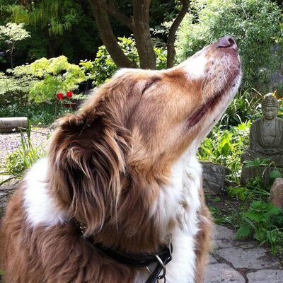 Profile Picture of Robert Freese (@rfreese888) on Twitter