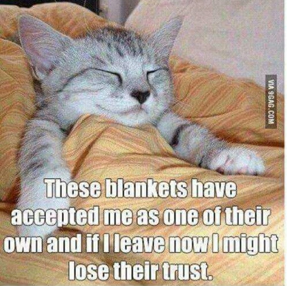 Profile Picture of Miranda Malczyk (@mm2020830) on Poshmark