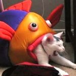 Profile Picture of OLERCZYK MARTA (@magnoliewparku_) on Instagram