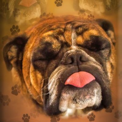 Profile Picture of Daniel B. Ellis (@DanielBEllis8) on Twitter