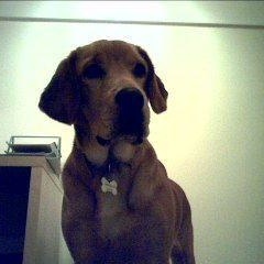 Profile Picture of Mitchell Mcmurray (@260603680) on Myspace