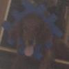 Profile Picture of Jack Fuchs (@@jackfuchs54) on Tiktok