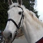Profile Picture of Peter Verhoeven (@peter.verhoeven) on Instagram