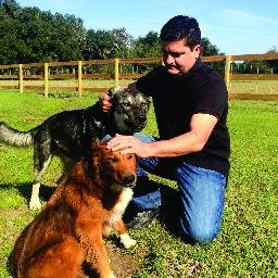 Profile Picture of Richard Scardino (@RichardsWindows) on Twitter