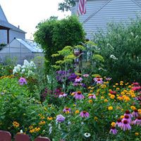 June Christy - Quora Profile Picture of June Christy (@june-christy) on Quora