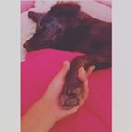 Profile Picture of __lts_Me_NeHu_ (@___neha_kashyap___) on Instagram