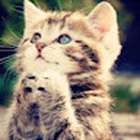 Profile Picture of Adi Chandra (@adi-chandra-35) on Quora