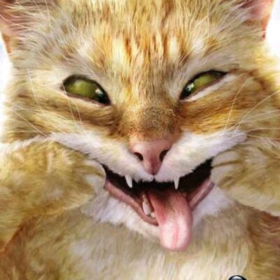 Profile Picture of Jerry Augustin (@Medplud) on Twitter