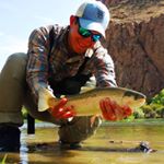 Profile Picture of Sebastian Pagano (@sebastianpaganog) on Instagram