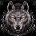 Profile Picture of Daniel Blacksmith (@daniel.blacksmith.376) on Facebook